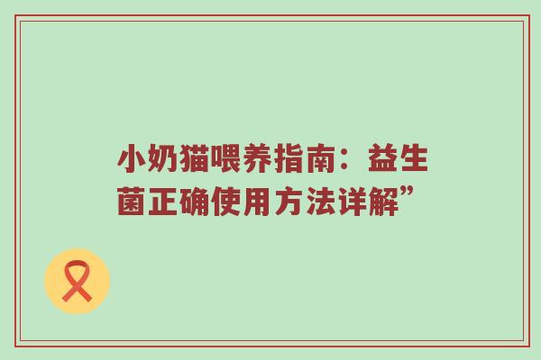 小奶猫喂养指南：益生菌正确使用方法详解”