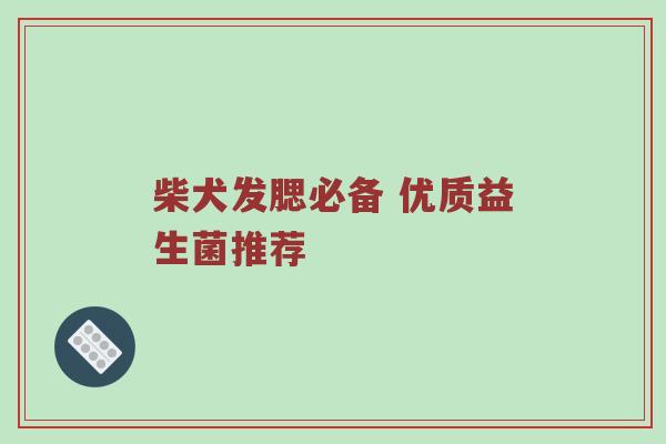 柴犬发腮必备 优质益生菌推荐