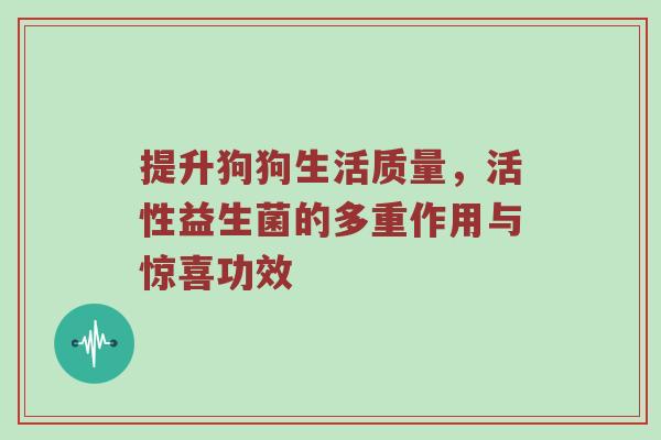 提升狗狗生活质量，活性益生菌的多重作用与惊喜功效