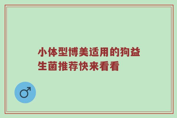 小体型博美适用的狗益生菌推荐快来看看