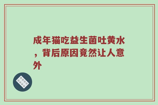 成年猫吃益生菌吐黄水，背后原因竟然让人意外