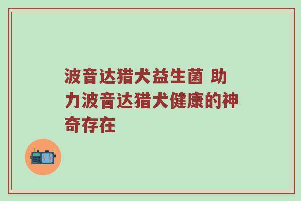 波音达猎犬益生菌 助力波音达猎犬健康的神奇存在