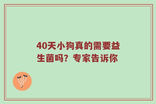 40天小狗真的需要益生菌吗？专家告诉你