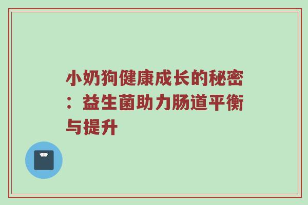 小奶狗健康成长的秘密：益生菌助力肠道平衡与提升