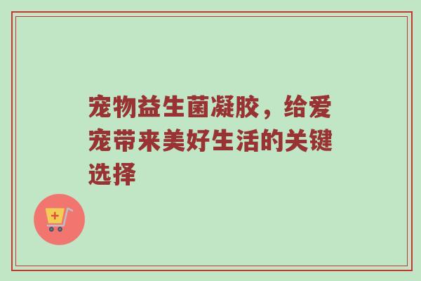 宠物益生菌凝胶，给爱宠带来美好生活的关键选择