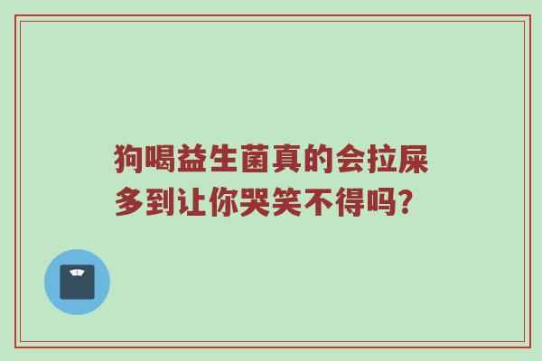 狗喝益生菌真的会拉屎多到让你哭笑不得吗？
