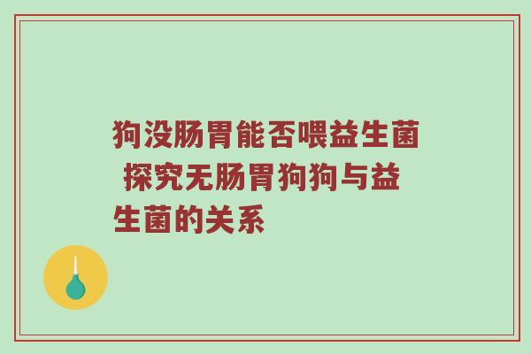 狗没肠胃能否喂益生菌 探究无肠胃狗狗与益生菌的关系