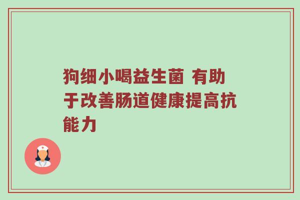 狗细小喝益生菌 有助于改善肠道健康提高抗能力