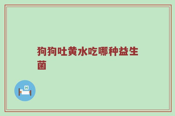 狗狗吐黄水吃哪种益生菌