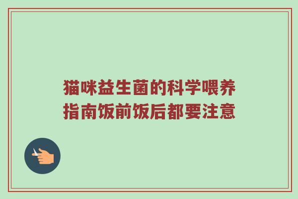 猫咪益生菌的科学喂养指南饭前饭后都要注意