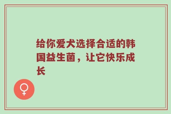 给你爱犬选择合适的韩国益生菌，让它快乐成长