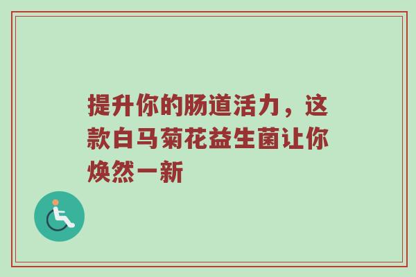 提升你的肠道活力，这款白马菊花益生菌让你焕然一新