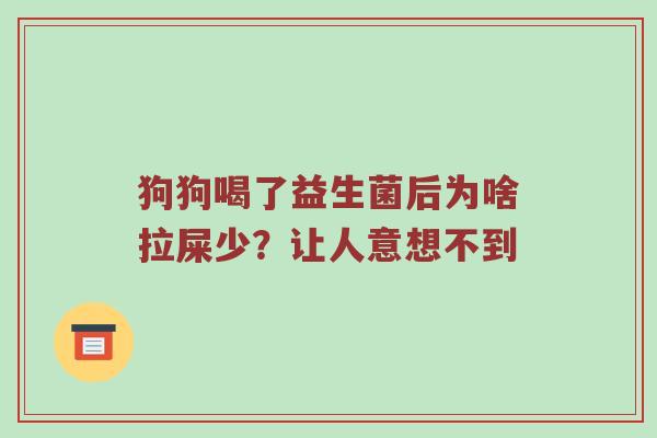 狗狗喝了益生菌后为啥拉屎少？让人意想不到