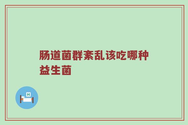 肠道菌群紊乱该吃哪种益生菌