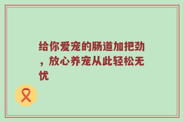给你爱宠的肠道加把劲，放心养宠从此轻松无忧