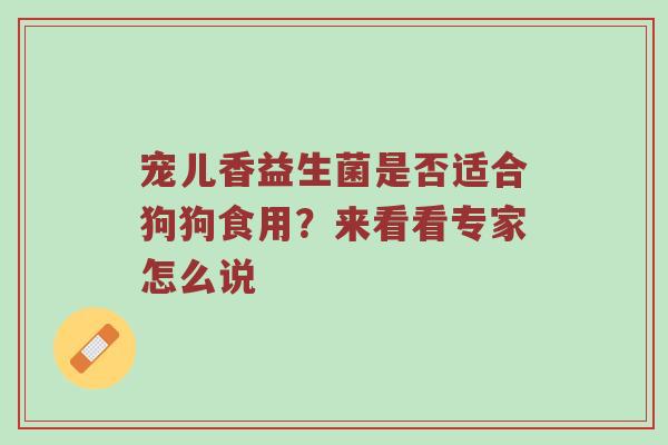 宠儿香益生菌是否适合狗狗食用？来看看专家怎么说