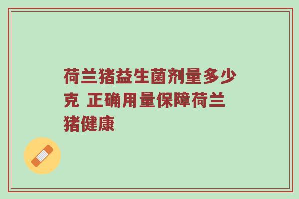 荷兰猪益生菌剂量多少克 正确用量保障荷兰猪健康