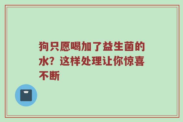 狗只愿喝加了益生菌的水？这样处理让你惊喜不断