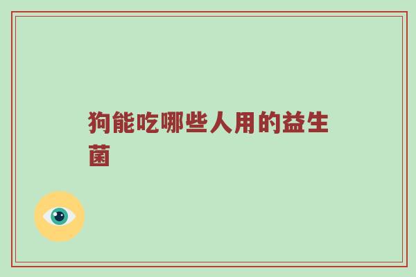 狗能吃哪些人用的益生菌