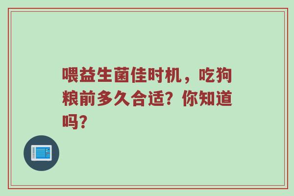 喂益生菌佳时机，吃狗粮前多久合适？你知道吗？