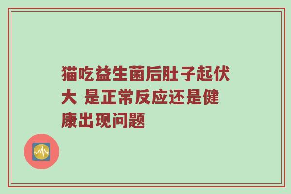 猫吃益生菌后肚子起伏大 是正常反应还是健康出现问题
