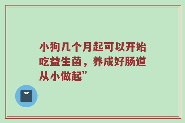 小狗几个月起可以开始吃益生菌，养成好肠道从小做起”