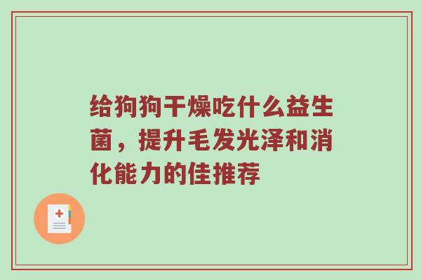 给狗狗干燥吃什么益生菌，提升毛发光泽和消化能力的佳推荐