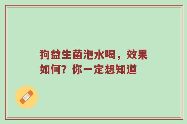 狗益生菌泡水喝，效果如何？你一定想知道