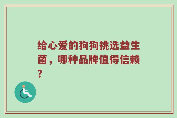 给心爱的狗狗挑选益生菌，哪种品牌值得信赖？