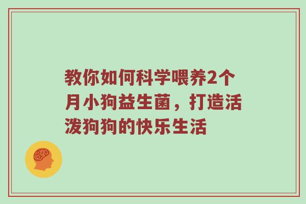教你如何科学喂养2个月小狗益生菌，打造活泼狗狗的快乐生活