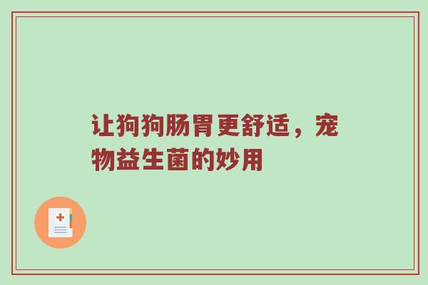 让狗狗肠胃更舒适，宠物益生菌的妙用