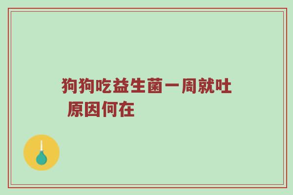 狗狗吃益生菌一周就吐 原因何在
