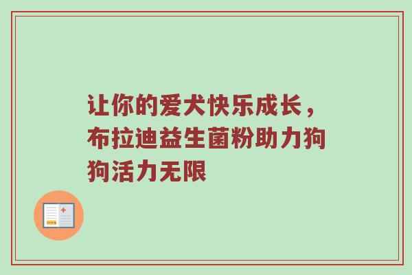 让你的爱犬快乐成长，布拉迪益生菌粉助力狗狗活力无限