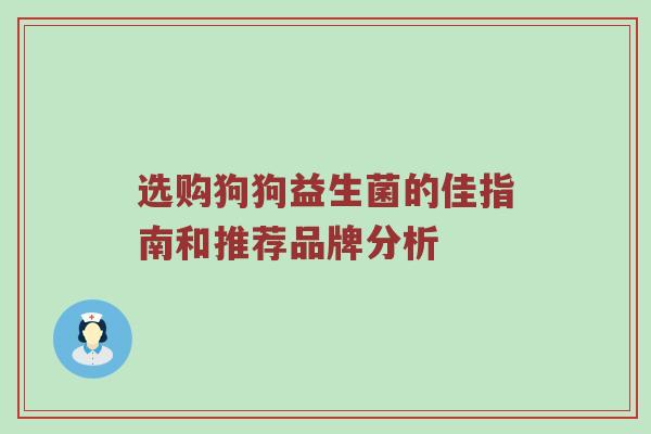 选购狗狗益生菌的佳指南和推荐品牌分析