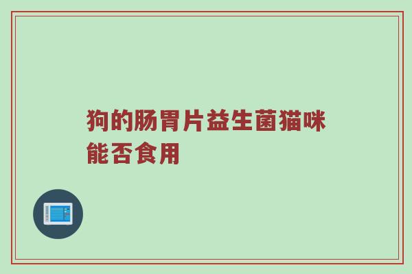狗的肠胃片益生菌猫咪能否食用