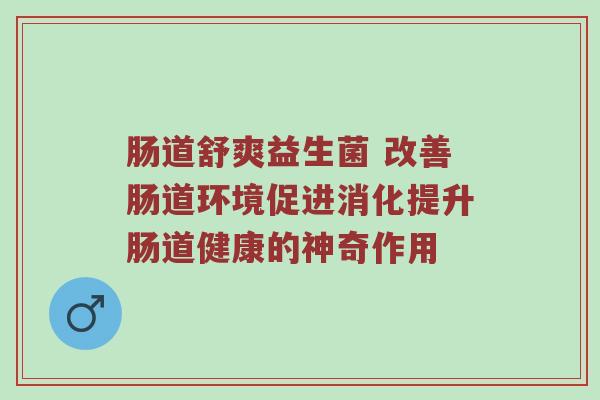 肠道舒爽益生菌 改善肠道环境促进消化提升肠道健康的神奇作用