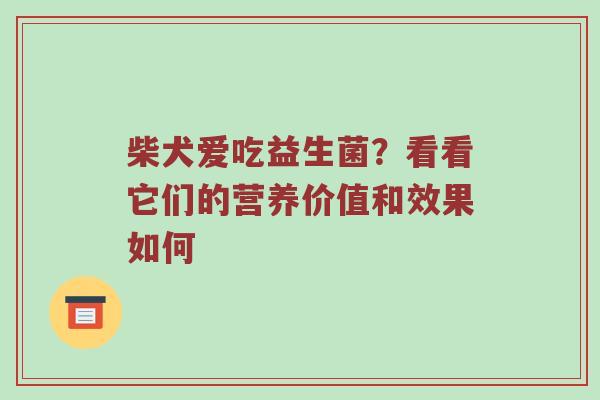 柴犬爱吃益生菌？看看它们的营养价值和效果如何