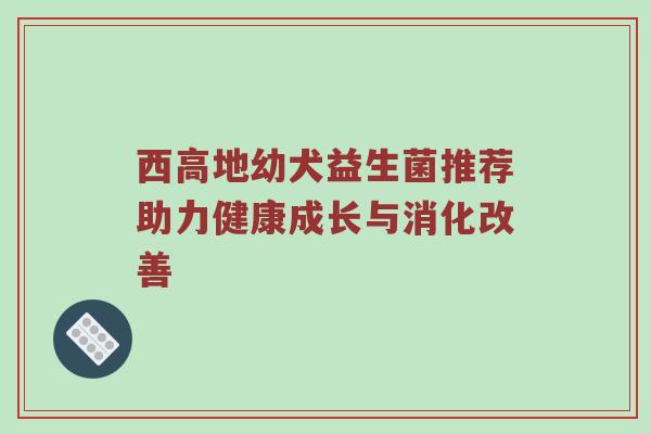 西高地幼犬益生菌推荐助力健康成长与消化改善