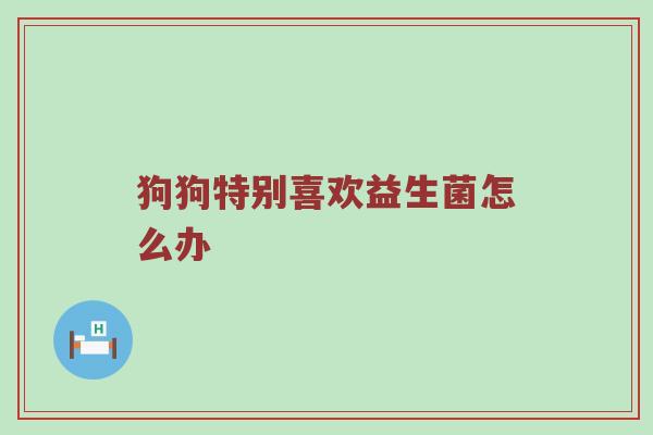 狗狗特别喜欢益生菌怎么办