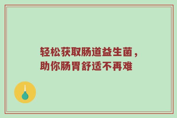 轻松获取肠道益生菌，助你肠胃舒适不再难