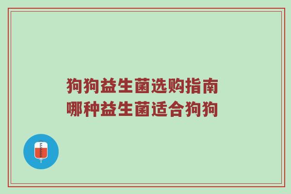 狗狗益生菌选购指南 哪种益生菌适合狗狗