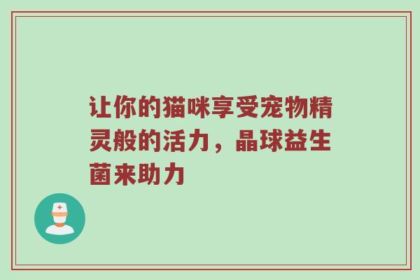 让你的猫咪享受宠物精灵般的活力，晶球益生菌来助力