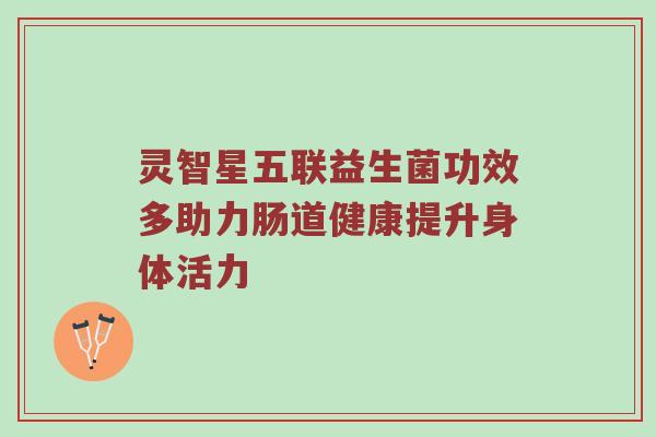 灵智星五联益生菌功效多助力肠道健康提升身体活力