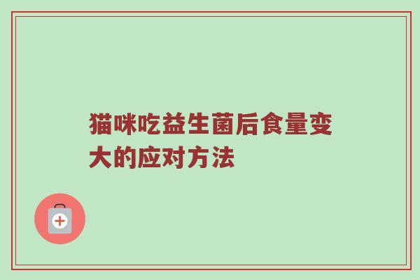 猫咪吃益生菌后食量变大的应对方法