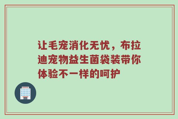 让毛宠消化无忧，布拉迪宠物益生菌袋装带你体验不一样的呵护