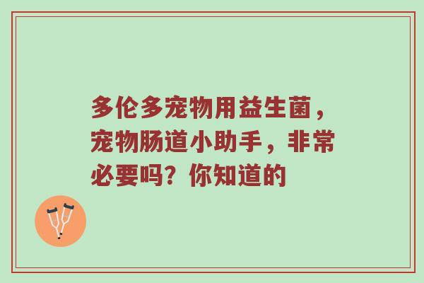 多伦多宠物用益生菌，宠物肠道小助手，非常必要吗？你知道的