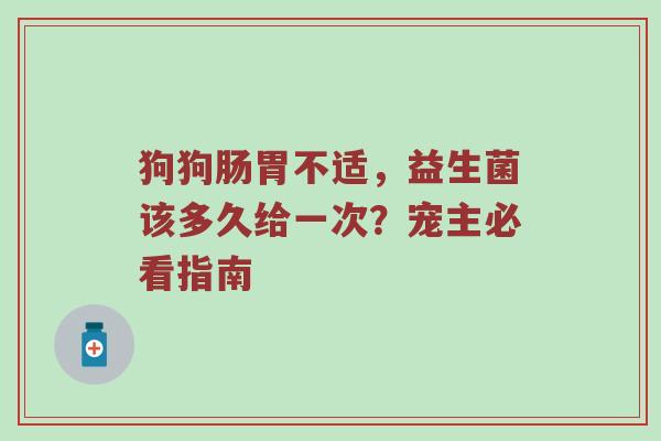狗狗肠胃不适，益生菌该多久给一次？宠主必看指南