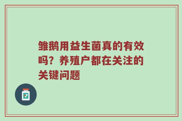 雏鹅用益生菌真的有效吗？养殖户都在关注的关键问题