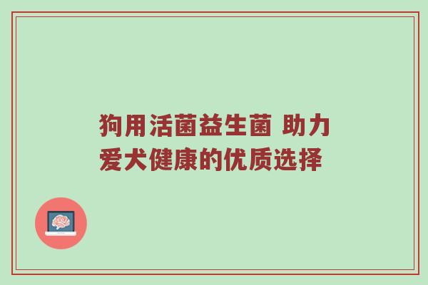 狗用活菌益生菌 助力爱犬健康的优质选择