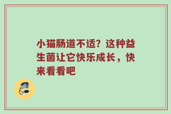 小猫肠道不适？这种益生菌让它快乐成长，快来看看吧